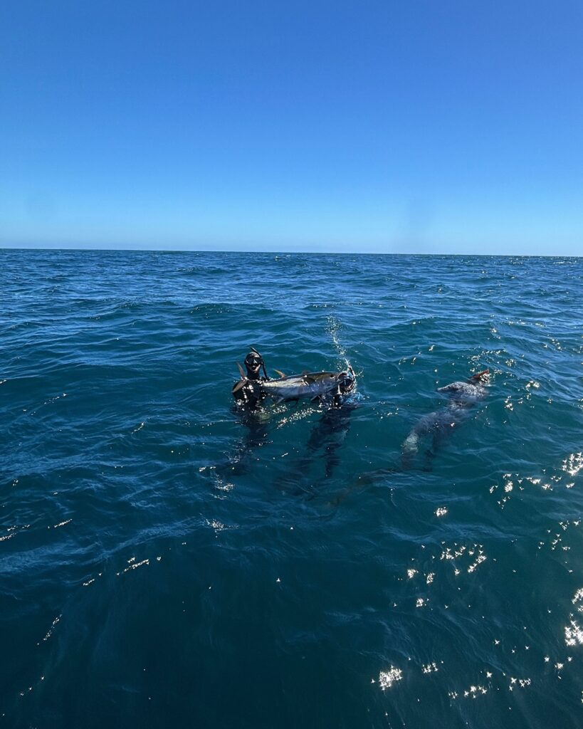 Pesca con arpón